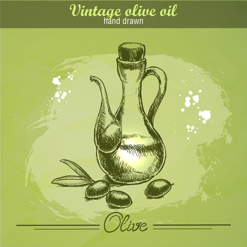vintage olive oil olive hand drawn 