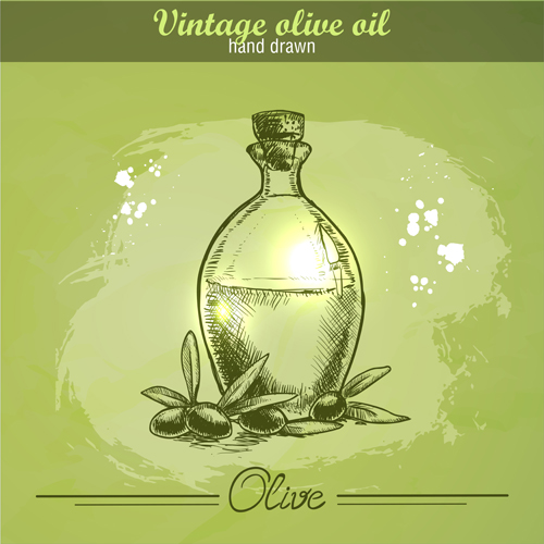 vintage olive oil olive hand drawn 