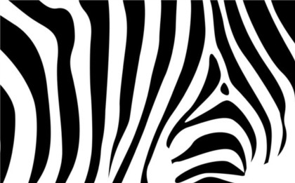 zebra textured pattern 