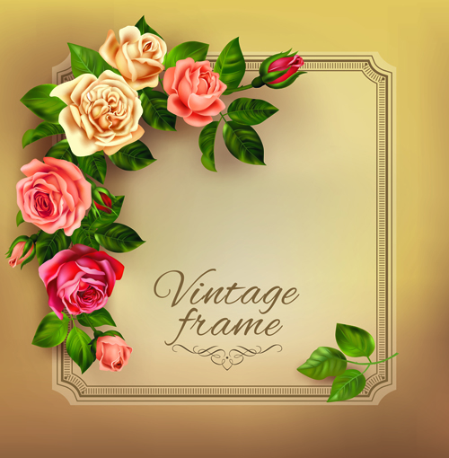 Beautiful roses with vintage cards vector material 03 Beautiful roses with vintage cards vector material 03