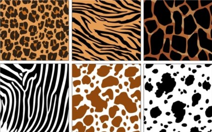 pattern different decorative background animal 