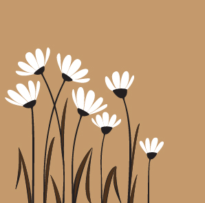White flower background White flower background