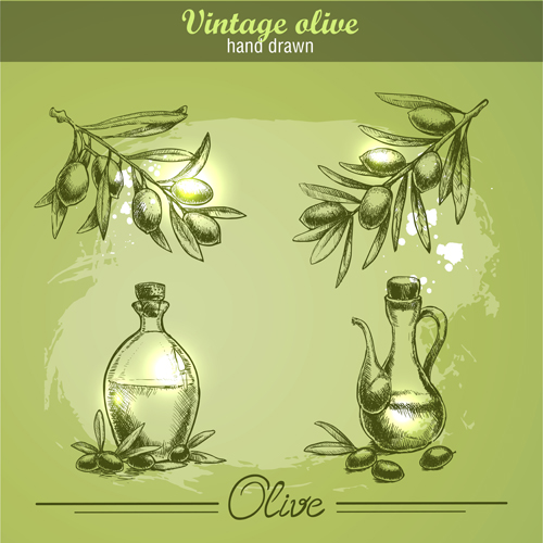vintage olive hand drawn 