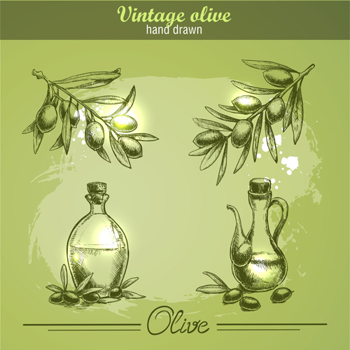 Hand drawn vintage olive vector 03 Hand drawn vintage olive vector 03