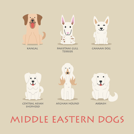 Middle eastern dogs icons vector