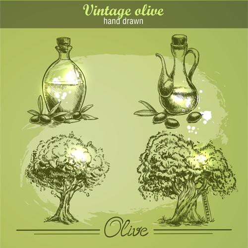 Hand drawn vintage olive vector 01 Hand drawn vintage olive vector 01