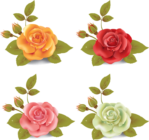 Different colored rose vector material 02 Different colored rose vector material 02