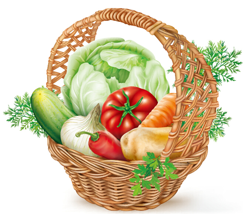 Basket with vegetables vector material Basket with vegetables vector material