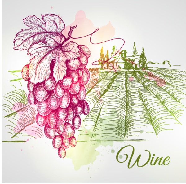 Hand drawing grape farm 