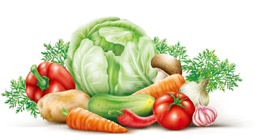 Different vegetables fresh vector 01 Different vegetables fresh vector 01