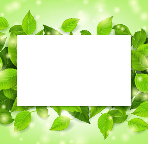 Green leaves frame vectors set 02 Green leaves frame vectors set 02