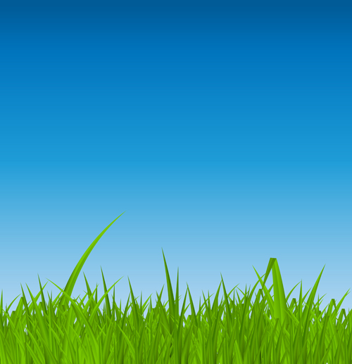Grass with blue sky spring vectors 06