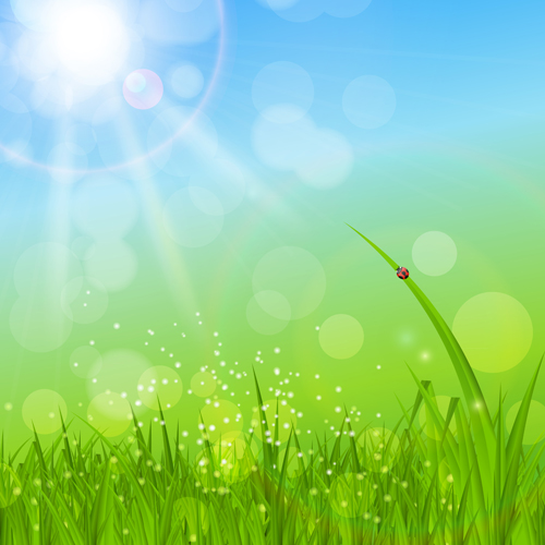 Grass with blue sky spring vectors 09