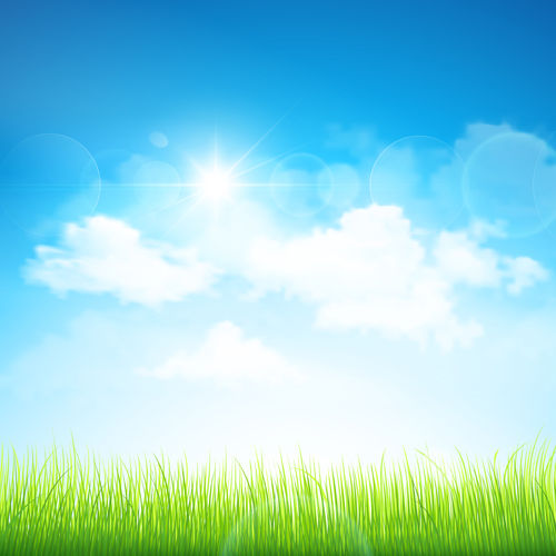 Grass with blue sky spring vectors 10 Grass with blue sky spring vectors 10