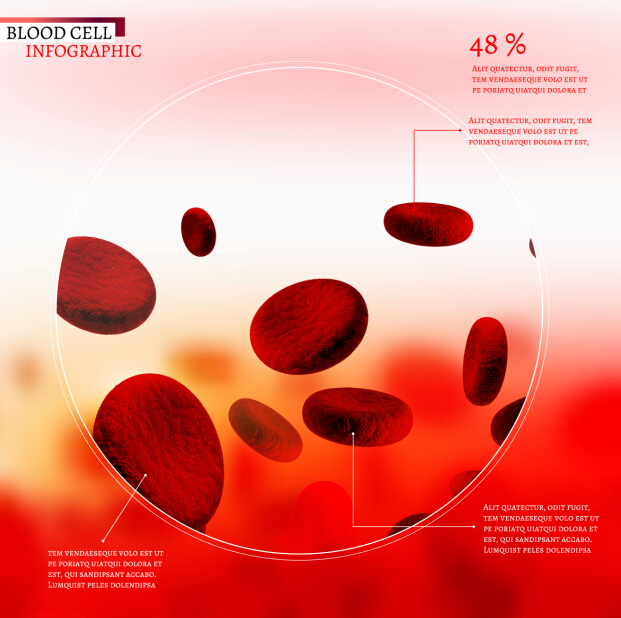 Creative blood cell infographic design vector 02 Creative blood cell infographic design vector 02