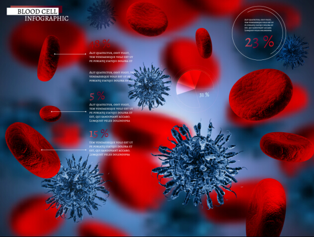 Creative blood cell infographic design vector 04 Creative blood cell infographic design vector 04