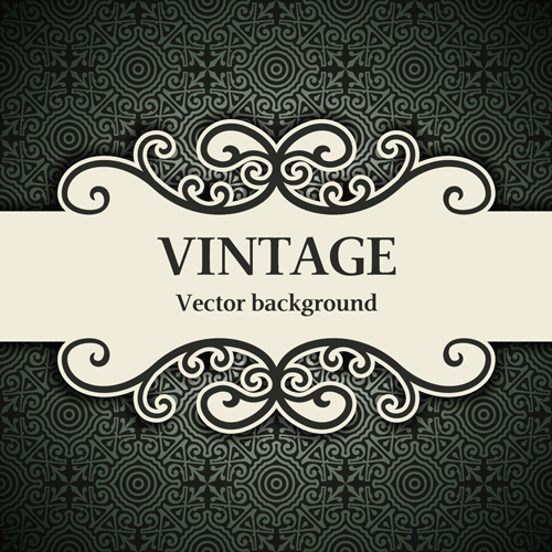 Decor pattern with vintage background vector 01