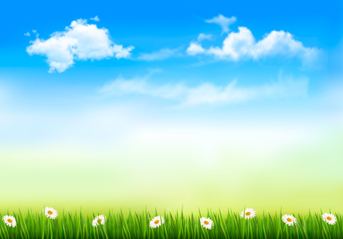 Grass with blue sky spring vectors 01