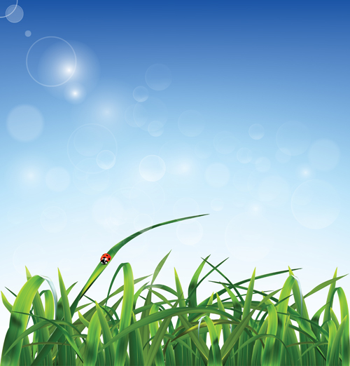 Grass with blue sky spring vectors 02