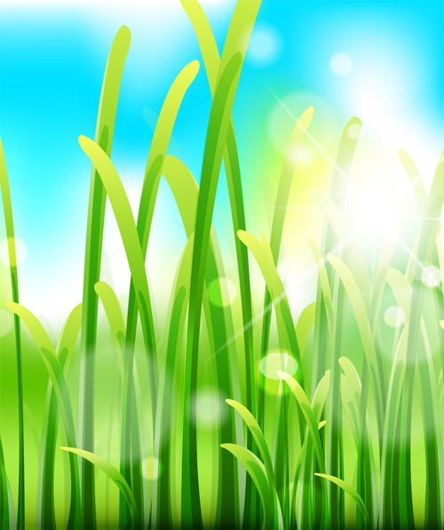 Grass with blue sky spring vectors 04 Grass with blue sky spring vectors 04