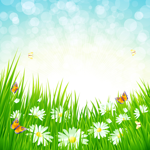 Grass with blue sky spring vectors 05