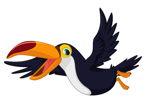 toucan bird cartoon bird 