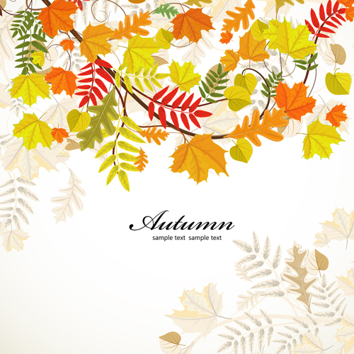 Backgrounds autumn leaves autumn 