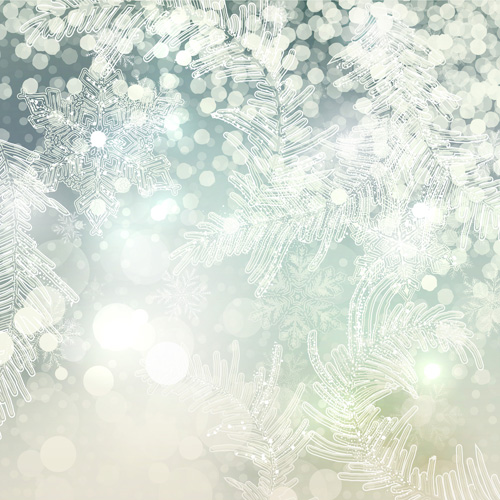 Beautiful snowflake blurs christmas background vector 05 Beautiful snowflake blurs christmas background vector 05