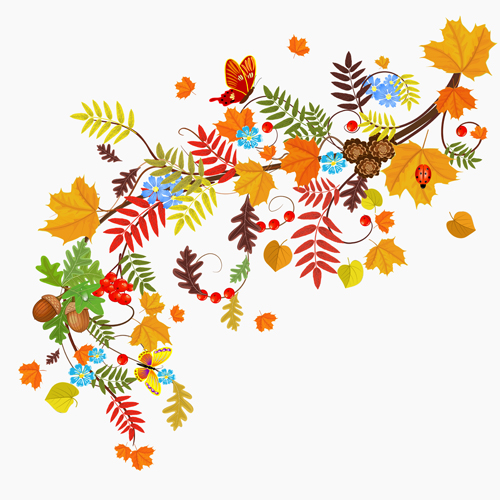leave fructification background autumn leaves autumn 