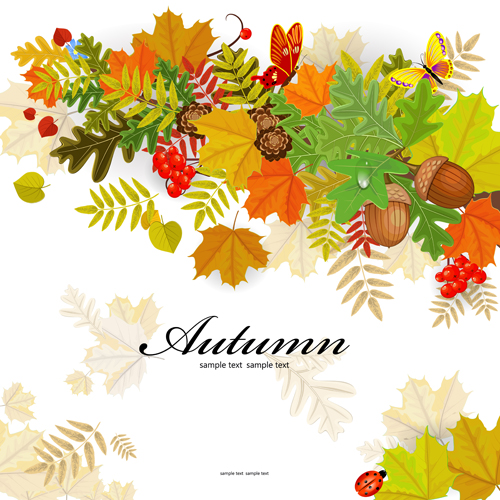 Colored autumn leaves with fructification backgrounds vector 03 Colored autumn leaves with fructification backgrounds vector 03