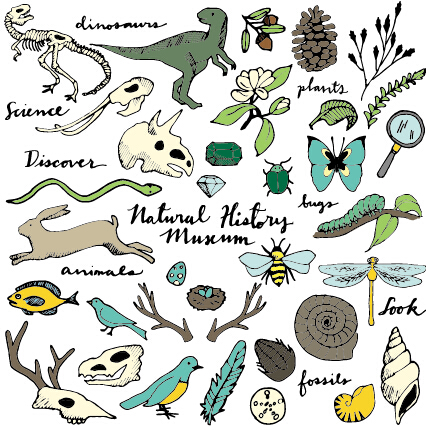 Wild animal and natural vector illustration Wild animal and natural vector illustration