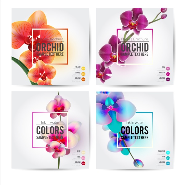 Beautiful flower brochure cover vector Beautiful flower brochure cover vector