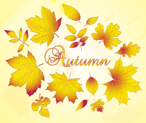 Golden autumn leaves vector background material Golden autumn leaves vector background material