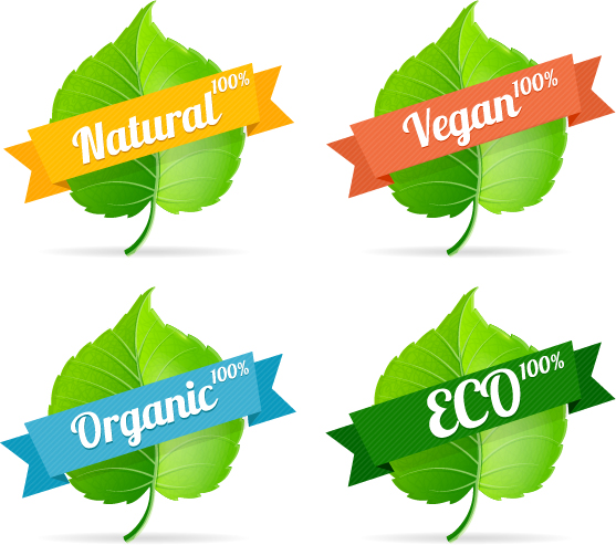 Green leavef with Eco labels vector Green leavef with Eco labels vector