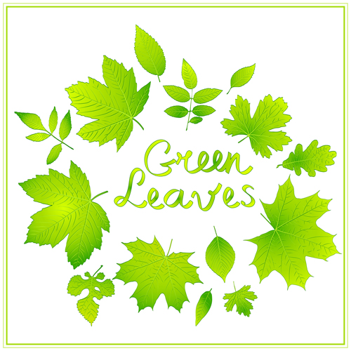 Shiny green leaves vector background