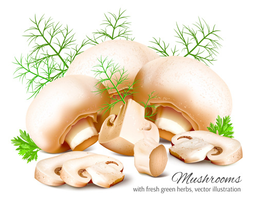 realistic mushrooms 