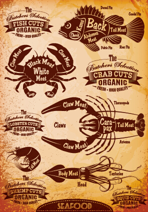 Vintage seafood cuts labels vector Vintage seafood cuts labels vector