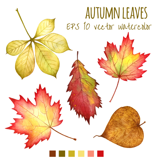 Various autumn leaves vector set material 04 Various autumn leaves vector set material 04