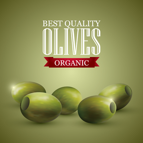 Quality organic olives vector graphics 02 Quality organic olives vector graphics 02