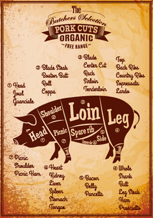Vintage pork cuts labels vector material Vintage pork cuts labels vector material