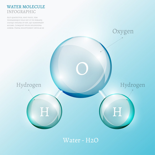 Water molecule infographics creative vectors set 15 Water molecule infographics creative vectors set 15