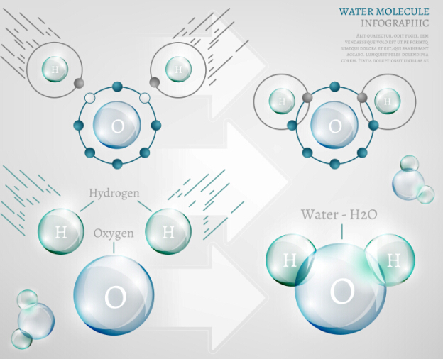 Water molecule infographics creative vectors set 09 Water molecule infographics creative vectors set 09