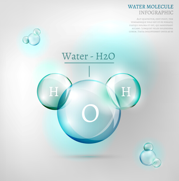 Water molecule infographics creative vectors set 10 Water molecule infographics creative vectors set 10