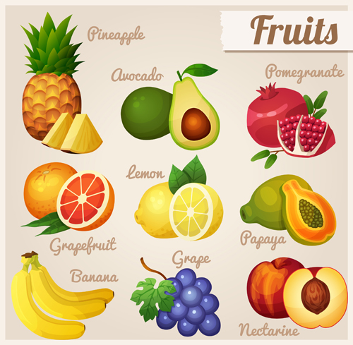 Huge collection of various food icons vector 05