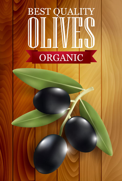 Organic olives with wooden background vector 02 Organic olives with wooden background vector 02