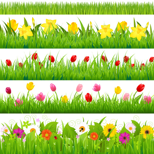 Grass with flower borders vector 03 Grass with flower borders vector 03