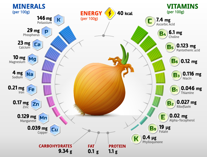 vitamins onion infographics 