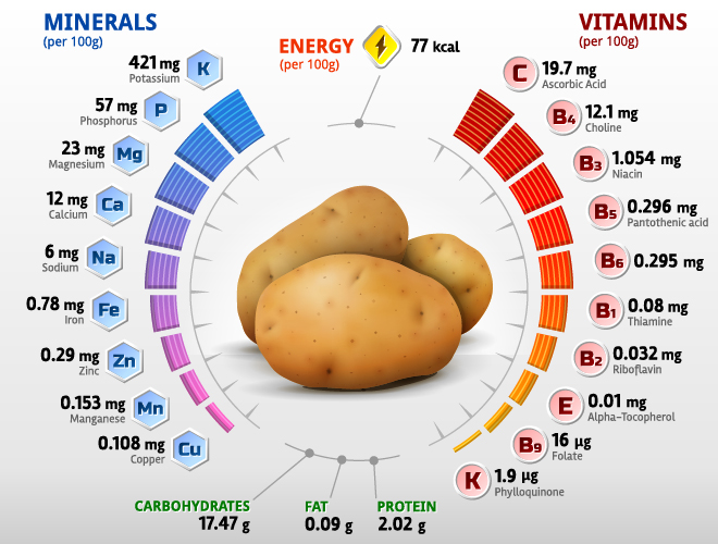 Potato vitamins infographics vector Potato vitamins infographics vector