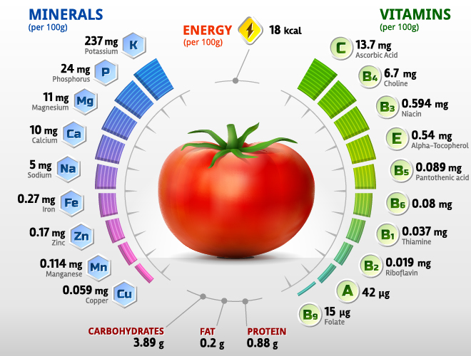 vitamins tomato infographics 
