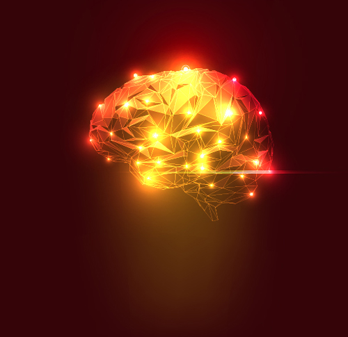 Brain geometric shapes vector illustration 05 Brain geometric shapes vector illustration 05